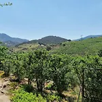 Maison 4* Independante Avec Vue Sur Vignes - Terrasse - Parking - Fr-1-309-262 公寓