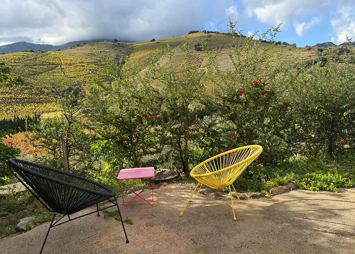 Apartament Maison 4* Independante Avec Vue Sur Vignes - Terrasse - Parking - Fr-1-309-262