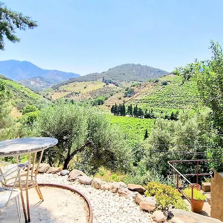 Maison 4* Independante Avec Vue Sur Vignes - Terrasse - Parking - Fr-1-309-262