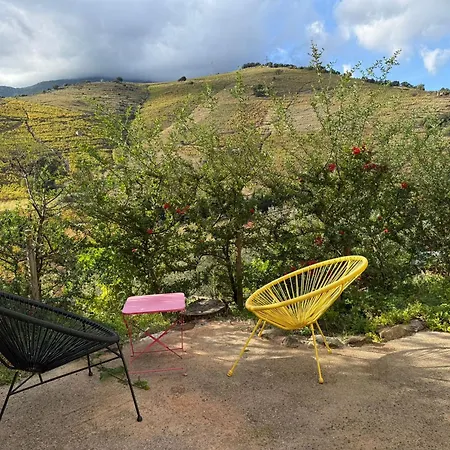 Apartmán Maison 4* Independante Avec Vue Sur Vignes - Terrasse - Parking - Fr-1-309-262